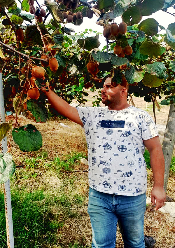 Kivi bahçesinde danışmanlık