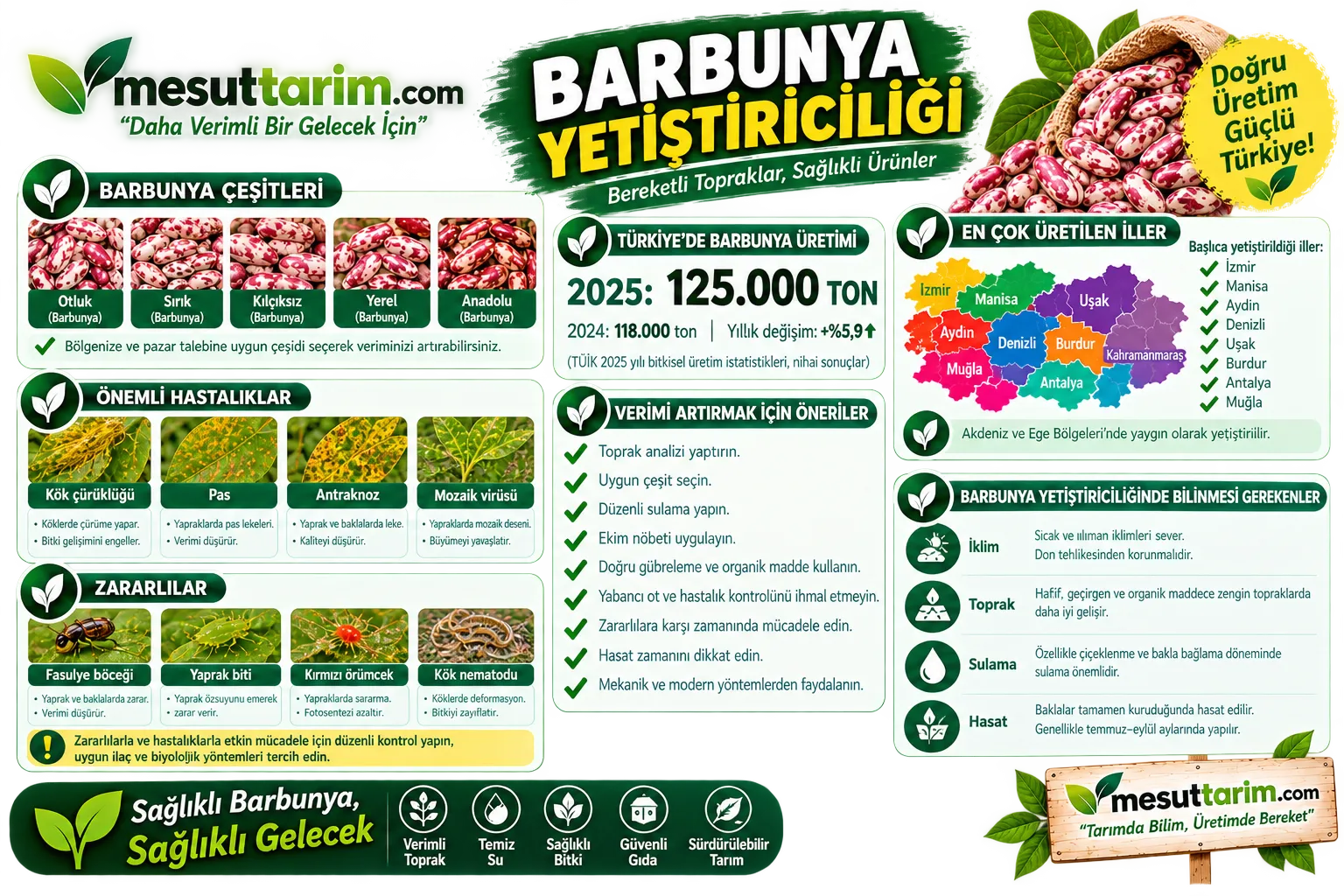 Barbunya Yetiştiriciliği: Ekim, Sulama, Gübreleme ve Çeşitler