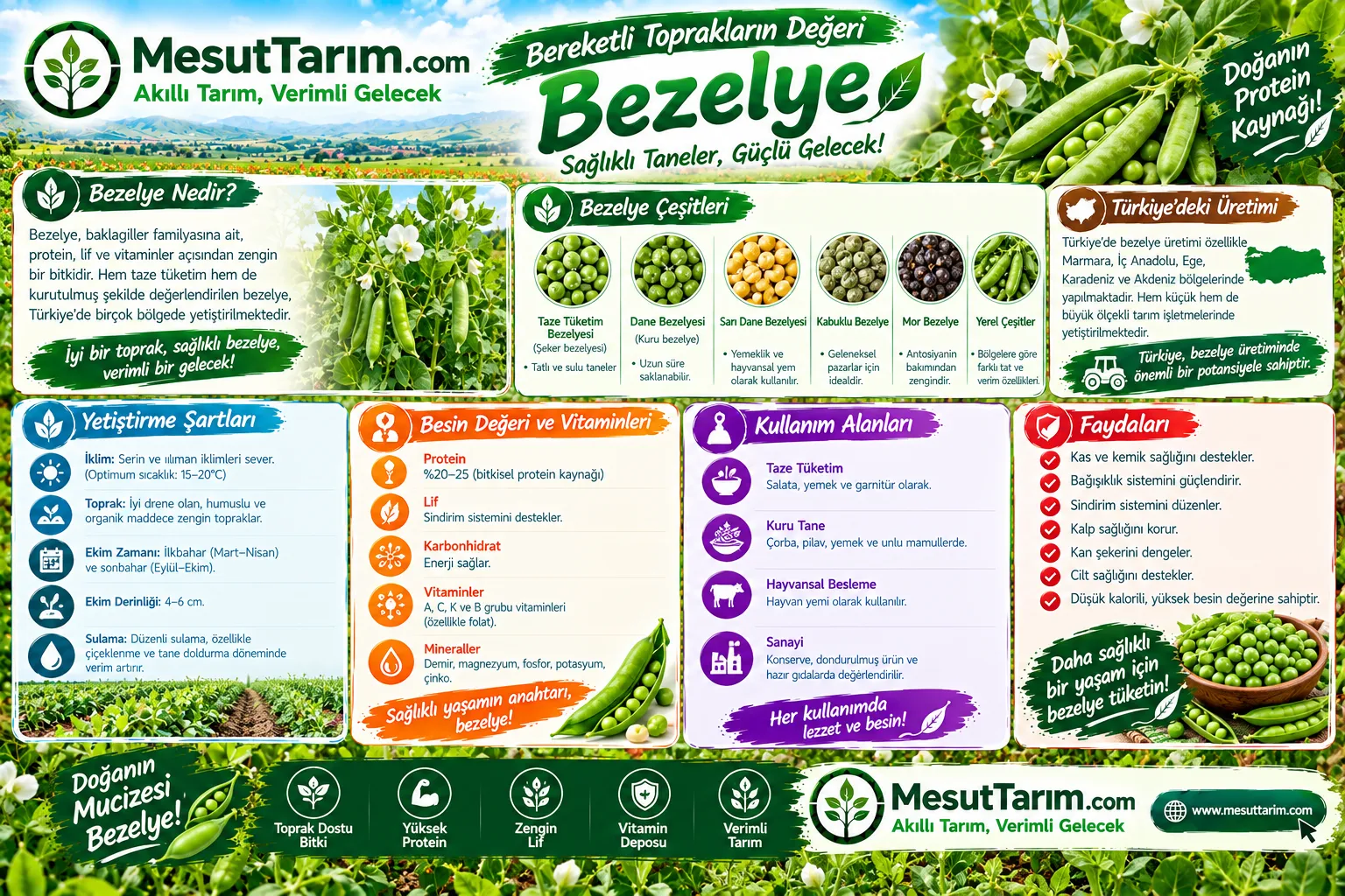 Bezelye Yetiştiriciliği: Çeşitleri, Ekim Zamanı ve Verimi