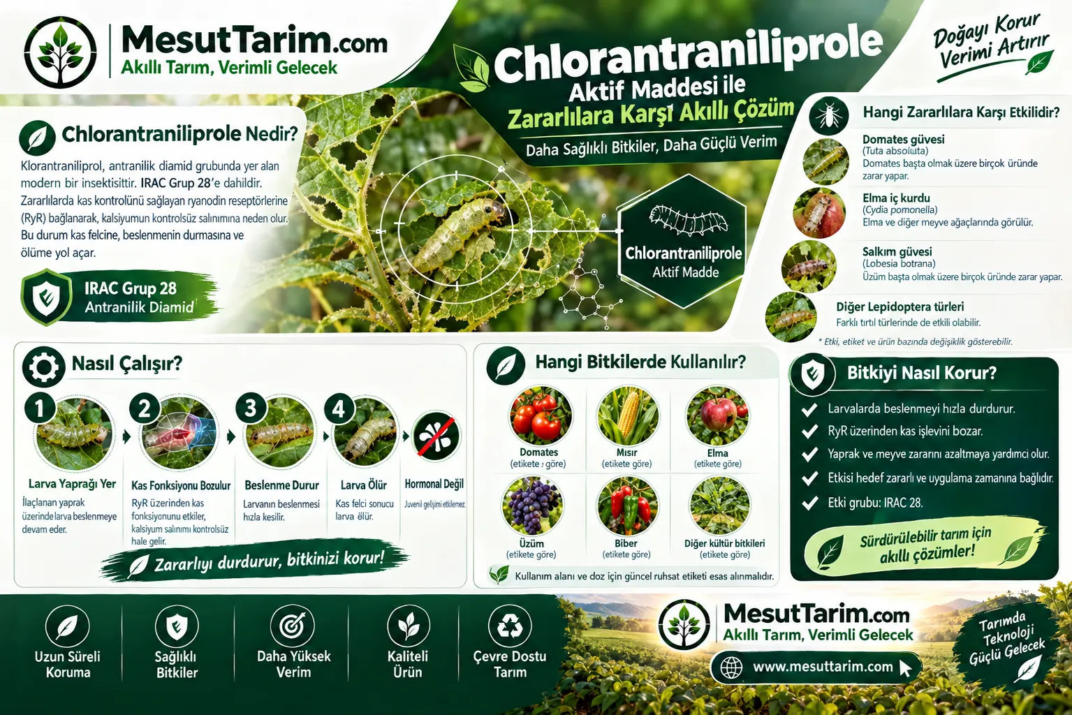Chlorantraniliprole Nedir? Etki Mekanizması ve Hedef Zararlılar
