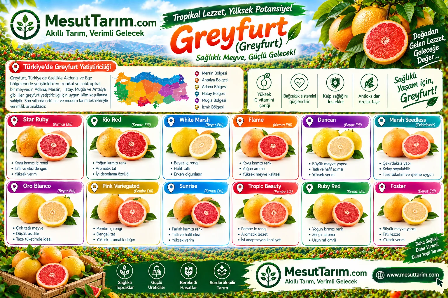 Greyfurt Yetiştiriciliği: İklim İstekleri ve Verimi