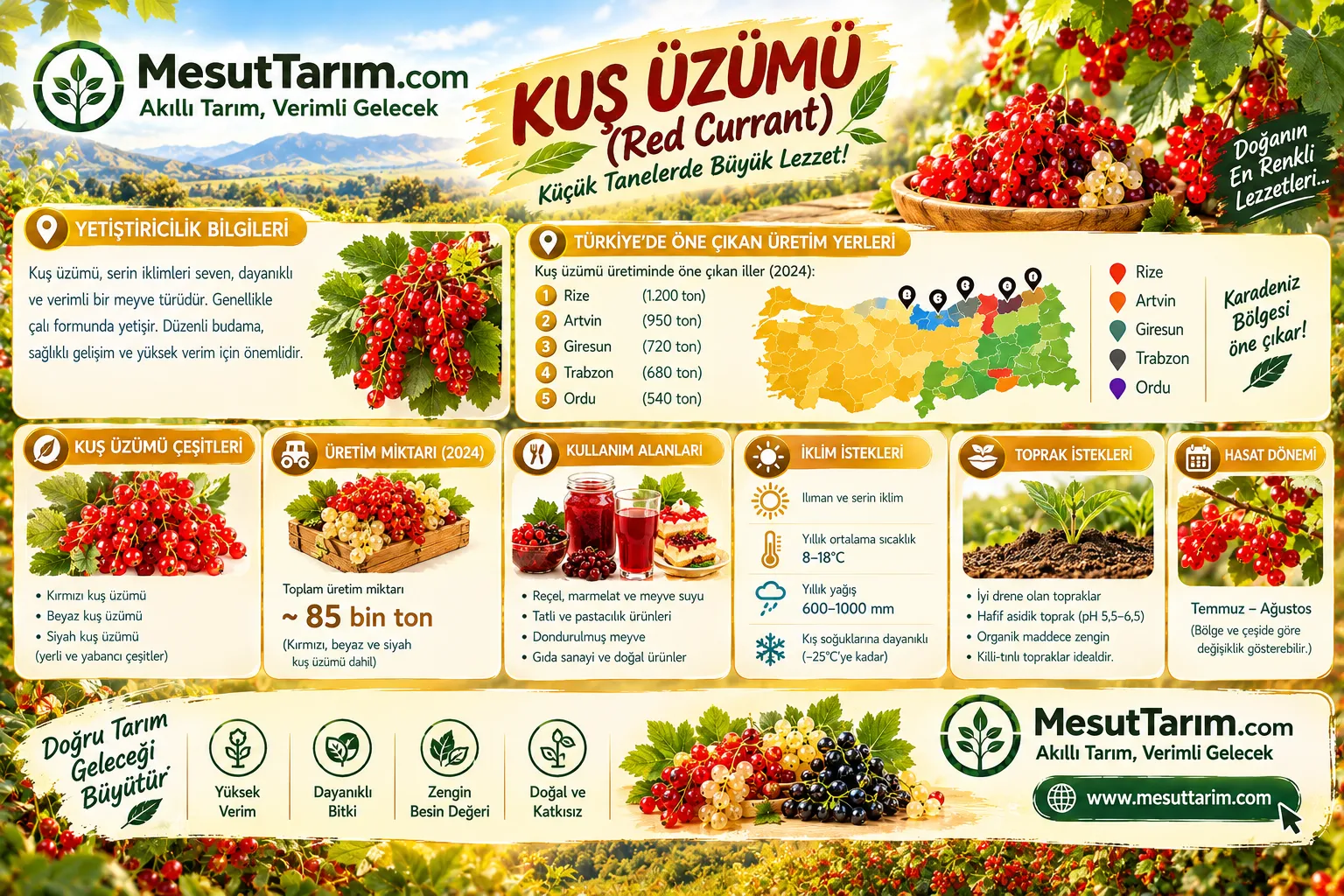 Frenk ( Kuş ) Üzümü Yetiştiriciliği: Dikim ve Bakım Rehberi