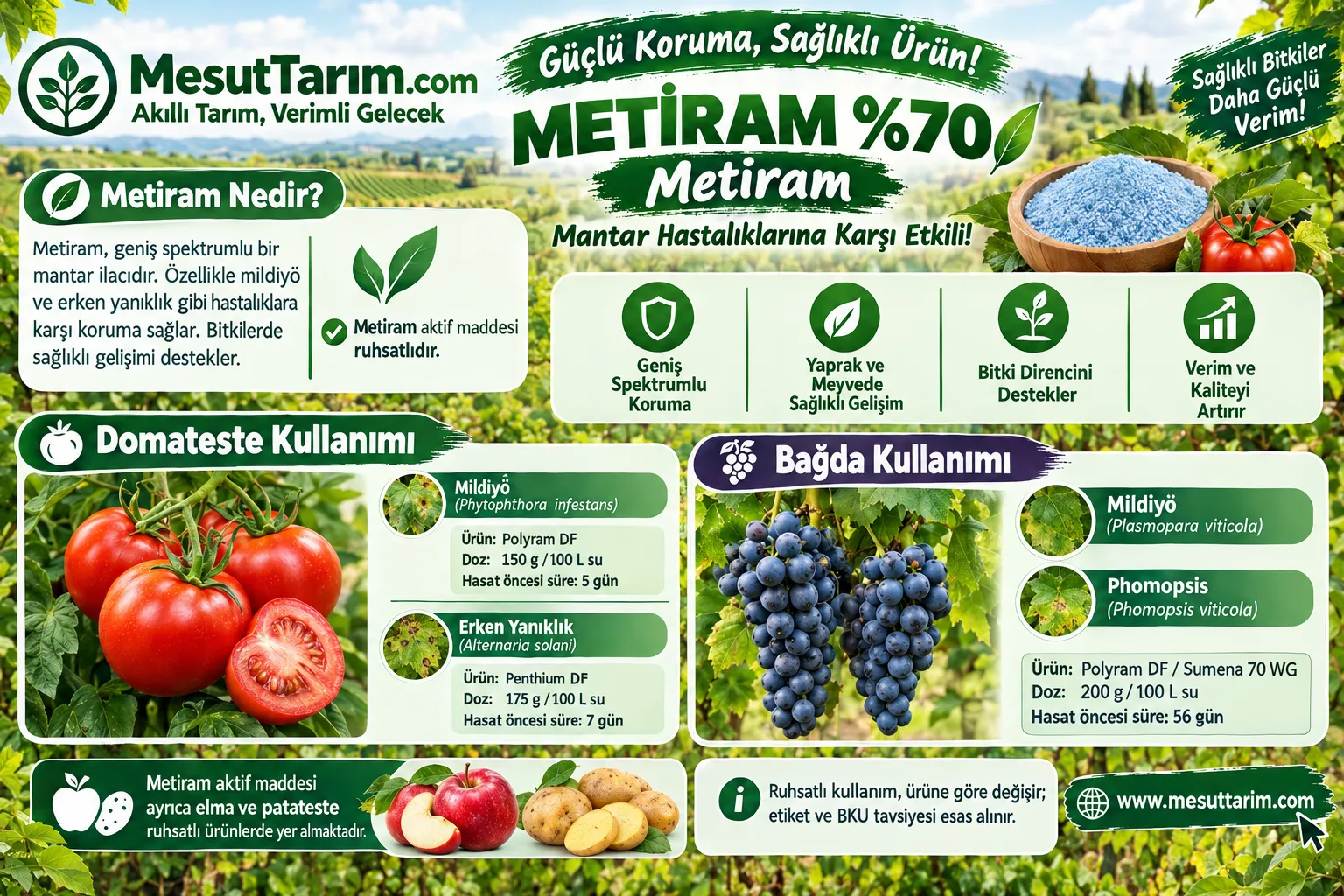 Metiram Aktif Maddesi ve Kullanım Alanları