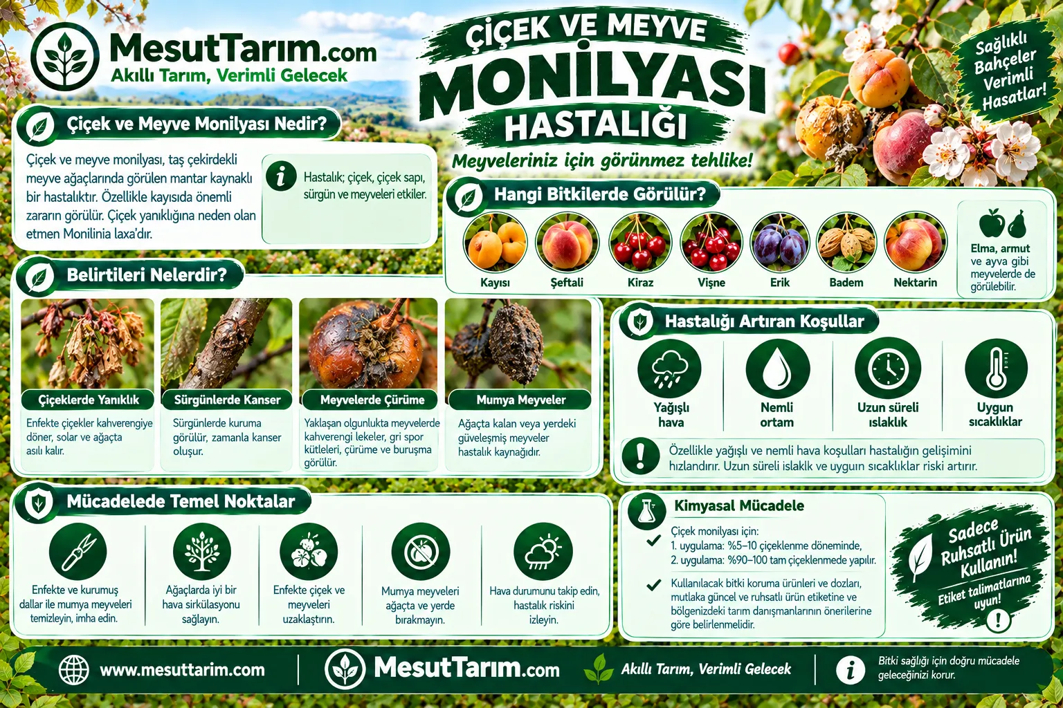 Çiçek ve Meyve Monilyası Mücadelesi