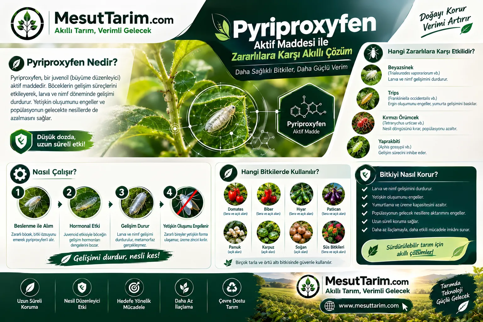 Pyriproxyfen Nedir? Etki Mekanizması, Kullanım Alanları