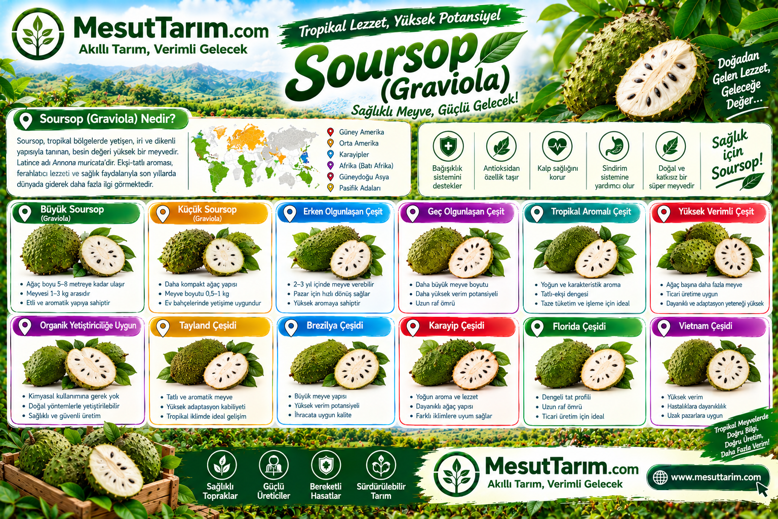 Soursop – Graviola Yetiştiriciliği