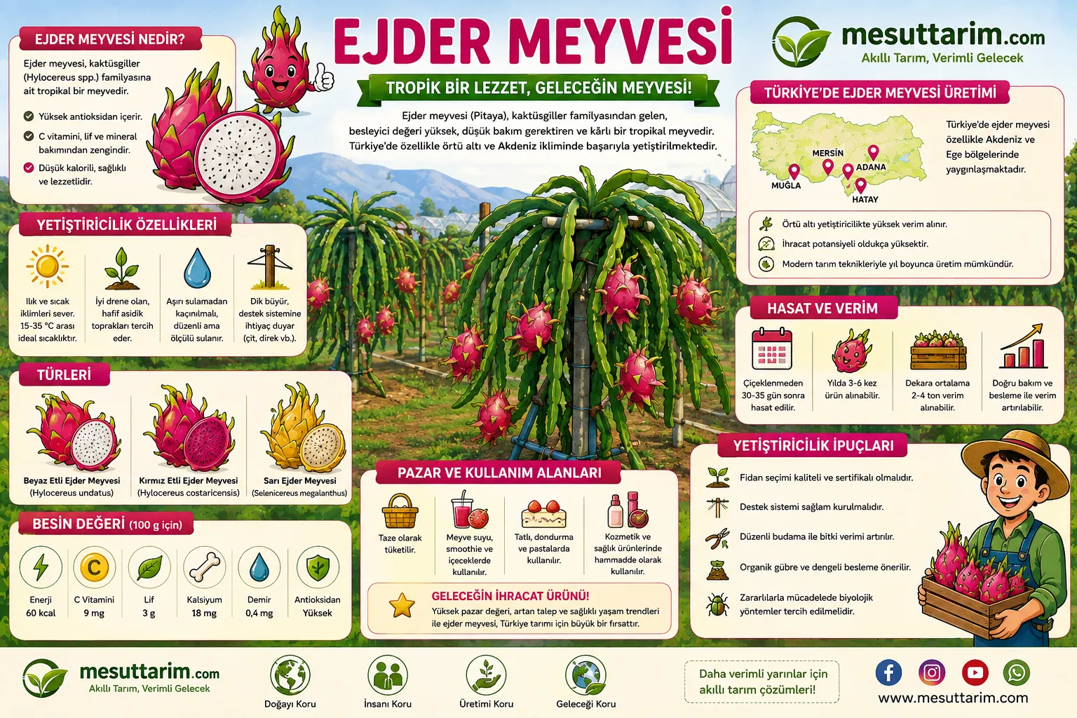 Ejder Meyvesi – Doğanın Egzotik Gücü